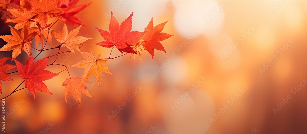 Poster A background of fall leaves with a blurred effect creating a copy space image