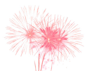 festive fireworks on an isolated transparent background. Fireworks png, salute, explosion png