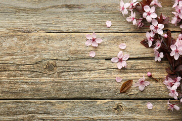 Spring branch with beautiful blossoms, petals and leaves on wooden table, top view. Space for text