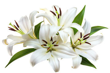 Fototapeta premium Lily, bouquet, isolated on white background