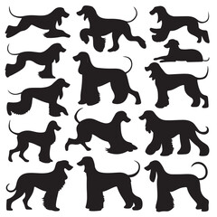 Afghan Hound Dog Silhouette Vector Set