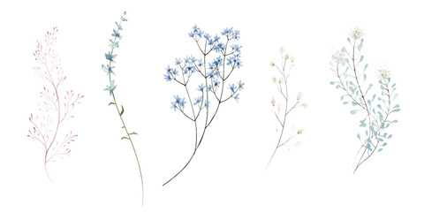 Watercolor painted floral clipart set. Blue, pink wild flowers, branches, leaves and twigs. Meadow plants isolated collection.