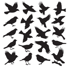 Flying Birds Vector Silhouette Pack