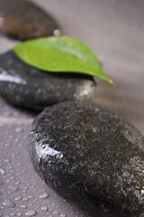 Wet spa stones and green leaf on grey background