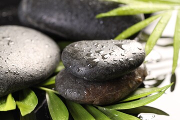 Wet spa stones and palm leaves in water on light background, closeup