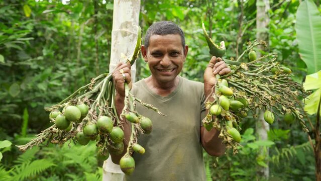 authentic portrait of smiling traditional farmer in southeast asia, areca or betel nut harvest