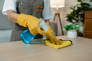 the young lady is doing housework, a wife is cleaning the house of her family, wearing gloves to...