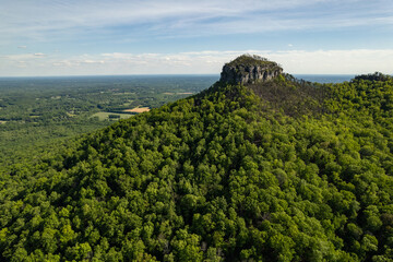 Green Forest Surrounds Mountain Peak Under a Blue Sky