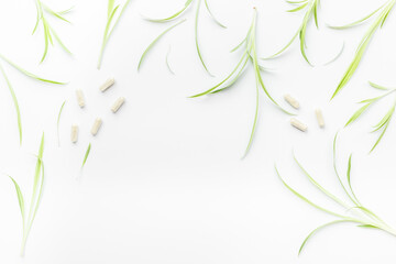 Pharmacy background with herbs and medicine. Organic natural wellness