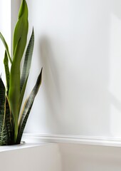 snake plant in the corner, white wall, minimalistic, clean and simple