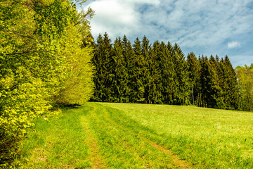 Eine Fr&uuml;hlingshafte Wanderung durch das wundersch&ouml;ne Sinntal zum Schwarzen Berge bei Riedenberg - Bayern -Deutschland