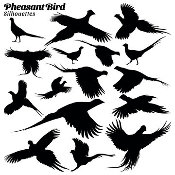 Set of pheasant bird silhouettes