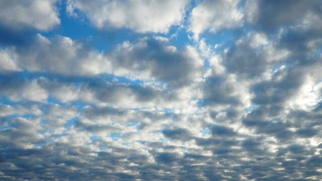 Altocumulus, middle-altitude cloud genus, stratocumuliform physical category, characterized by globular masses or rolls in layers or patches being larger and darker. Airmass instability. Real time.