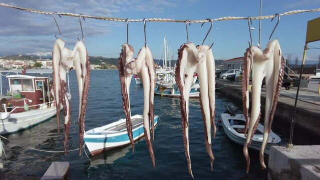 freshly caught octopus hanging in front of the sea in the marina with fishermen's boats in Greece, longing for summer and eating fish on the sea