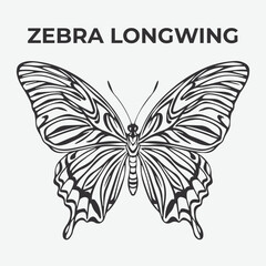 Zebra Longwin butterfly Detailed Outline for Artistic Coloring. Vector Illustration