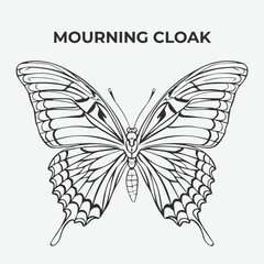 Mourning Cloak butterfly Detailed Outline for Artistic Coloring. Vector Illustration
