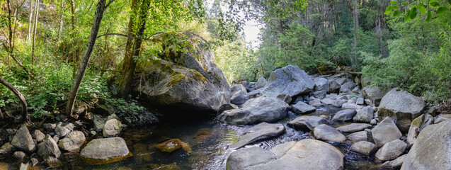 Panoramic view of deer creek in the morning near nevada city california 