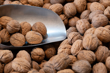 Fresh walnuts sold in the market