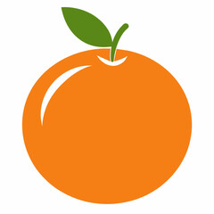 orange fruit vector illustration