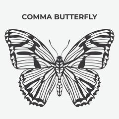Comma butterfly Detailed Outline for Artistic Coloring. Vector Illustration