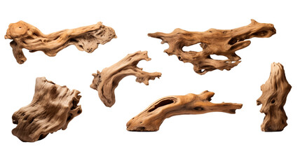 Fototapeta premium Set of driftwood isolated on transparent png background. Pieces of river drift wood. 