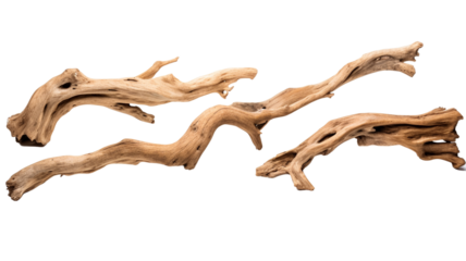 Collection of driftwood isolated on transparent png background. Pieces of river drift wood.
