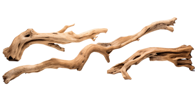 Collection of driftwood isolated on transparent png background. Pieces of river drift wood.
