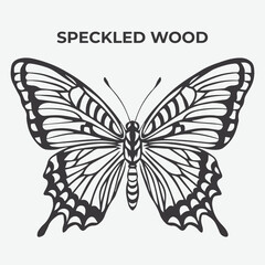 Speckled Wood butterfly Detailed Outline for Artistic Coloring. Vector Illustration