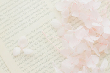 ロマンチックな花の背景