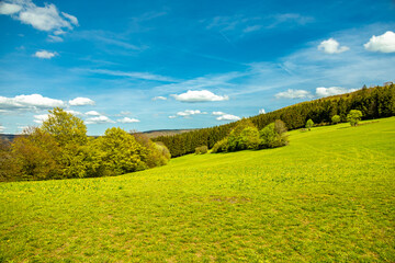 Eine Frühlingshafte Wanderung durch das wunderschöne Sinntal zum Schwarzen Berge bei Riedenberg -...