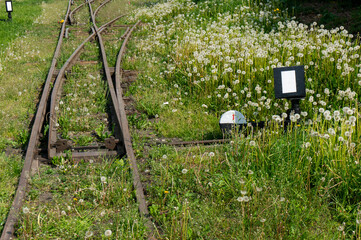 Railroad switch, Narrow-gauge railway line. Jedrzejow, Poland.