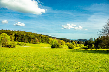 Eine Frühlingshafte Wanderung durch das wunderschöne Sinntal zum Schwarzen Berge bei Riedenberg - Bayern -Deutschland