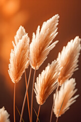 Bunch of dry grass is sitting in front of a window. Sunlight is shining on the pampas grass