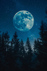 Moonlit forest under starry night sky, background with empty space for text 