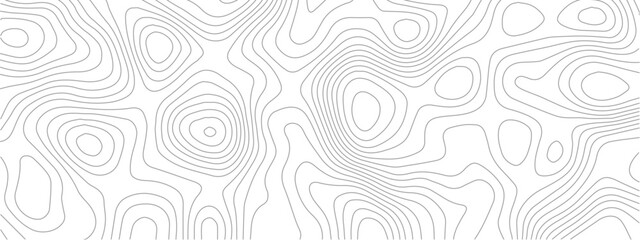 Transparent PNG Topographic line map. Modern design with White background with topographic wavy pattern design.	