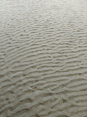 Sand Ripples