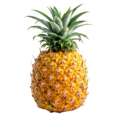 A pineapple isolated on white background.