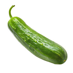 A pepino isolated on white background.