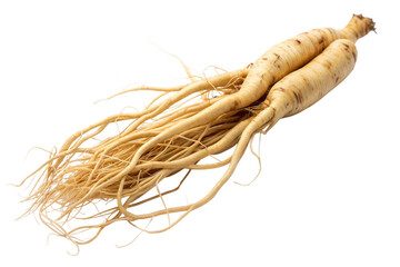 Two ginseng roots with detailed fibers on a transparent background, showcasing texture and color