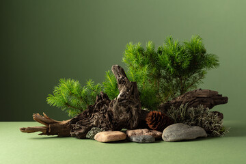 Abstract nature scene with a composition of spruce branches, stones, and dry snags.