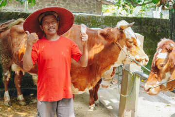 Cheerful Indonesian cattleman holding money and giving thumbs up hand gesture of approval in front...