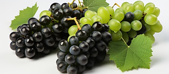 isolated black and green photo of fresh grapes
