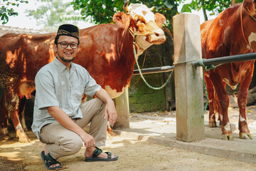 Handsome Asian Muslim man doing kneeling down pose with livestock cows for sacrifices behind. Eid...