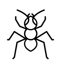 bicolor graphic top view illustration of an ant