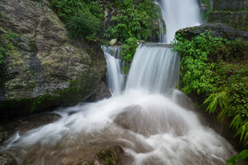 Beautiful Paglajhora waterfall on Kurseong, Himalayan mountains of Darjeeling, West Bengal, India. Origin of Mahananda River flowing through Mahananda Wildlife Sanctuary, Siliguri and Jalpaiguri.