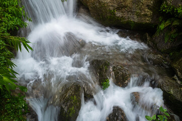Paglajhora waterfall , famous waterfall in monsoon, at Kurseong, Himalayan mountains of Darjeeling, West Bengal, India. Origin of Mahananda River flowing through Mahananda Wildlife Sanctuary.