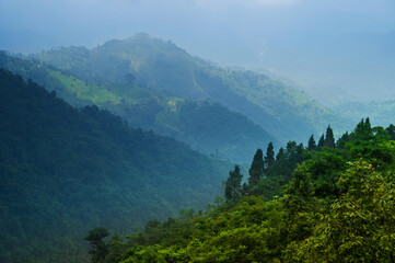 Himalayan mountains and lush green forest. Scenic natural beauty of monsoon in Darjeeling, West Bengal, India. Overcast day at monsoon at mountains