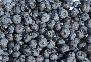 Ripe fresh blueberries top view. Fresh blueberries are one of the most useful berries for health because of their vitamins and antioxidants.