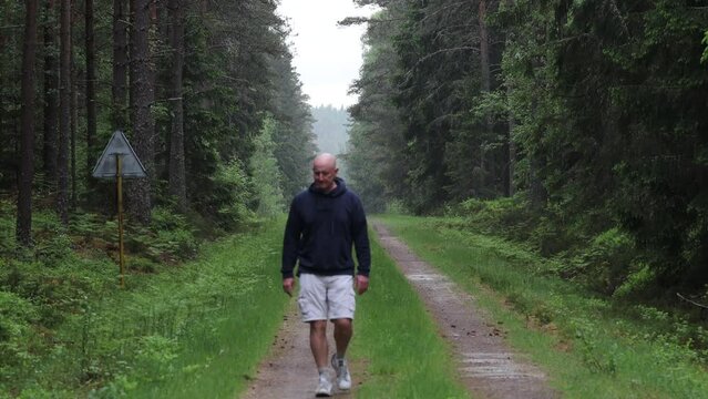 Vaxjo, Sweden A man walks alone on a wooded path through the forest.