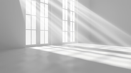 White studio background 